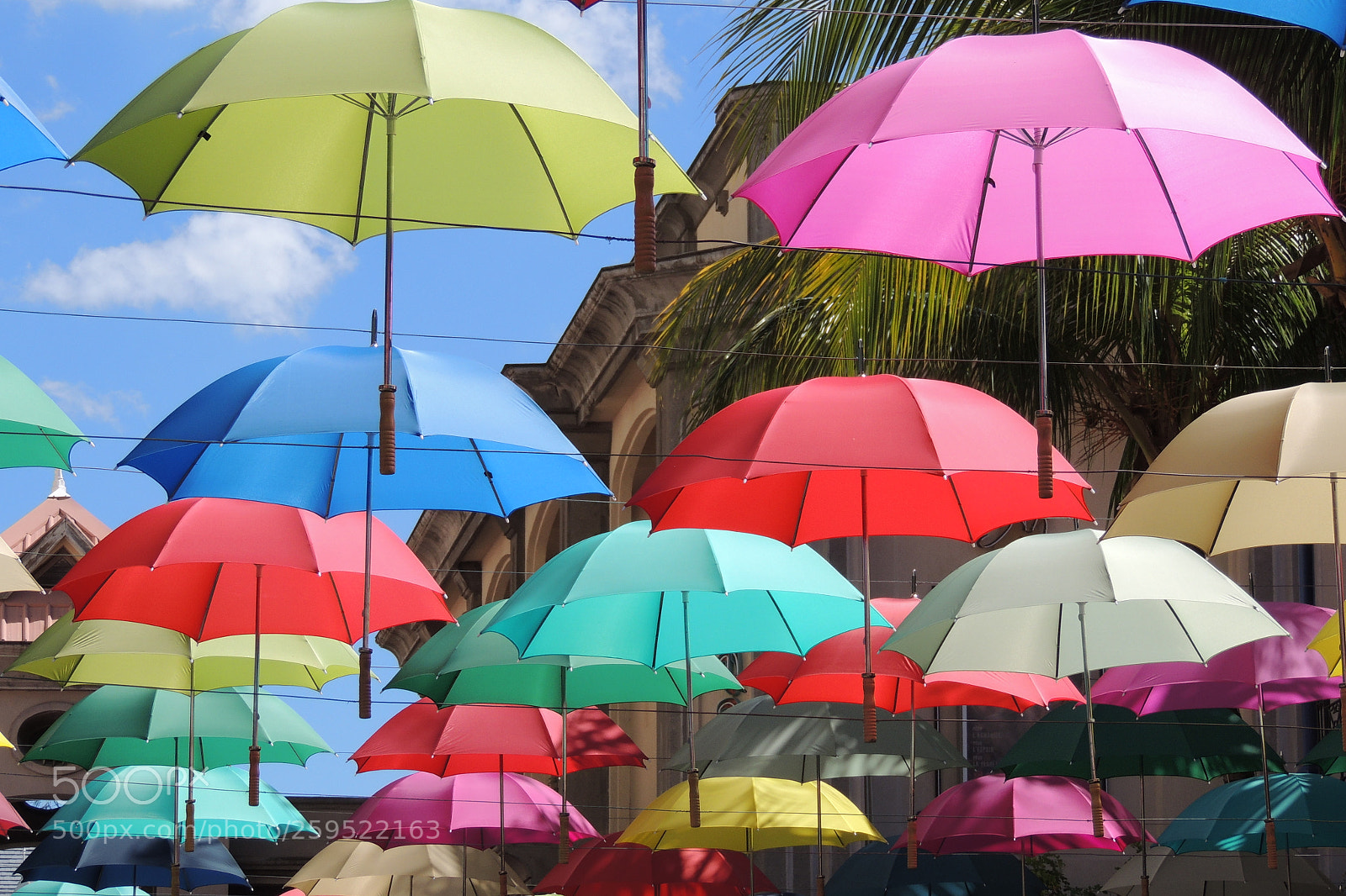 Nikon Coolpix P510 sample photo. Port louis maurice photography