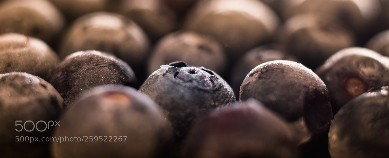 Nikon D7200 sample photo. Blueberry photography