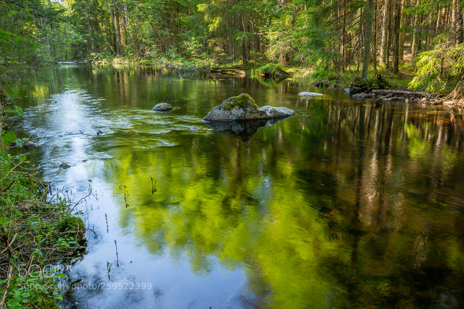 Nikon D850 sample photo. A little river photography