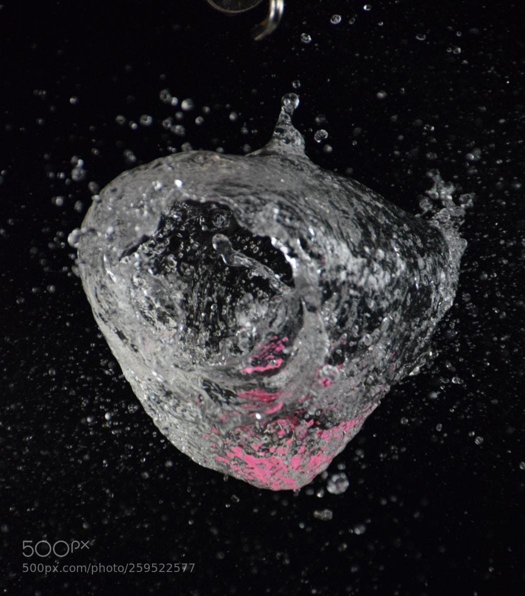 Nikon D5300 sample photo. Water flying photography