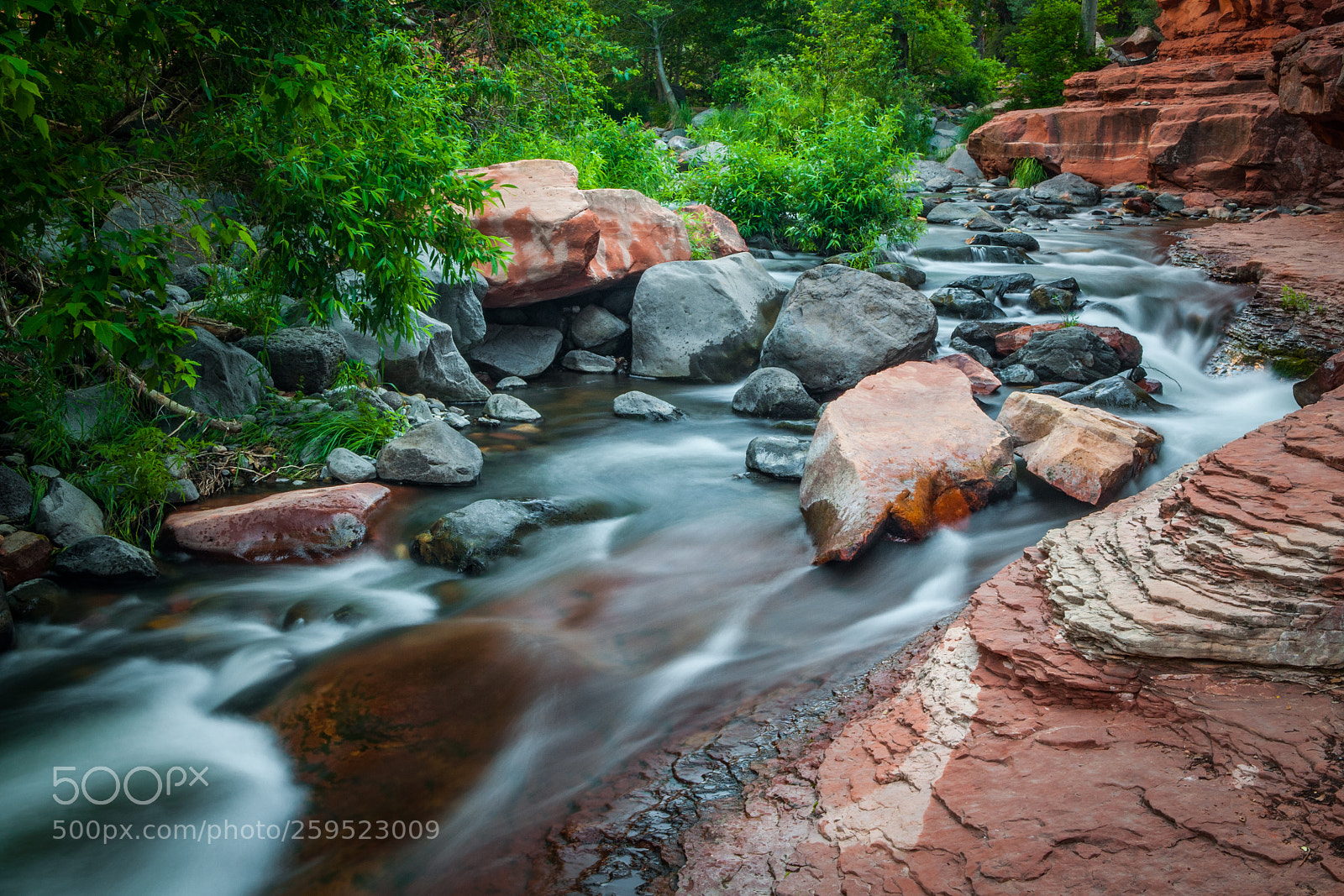 Nikon D300 sample photo. Oak creek photography