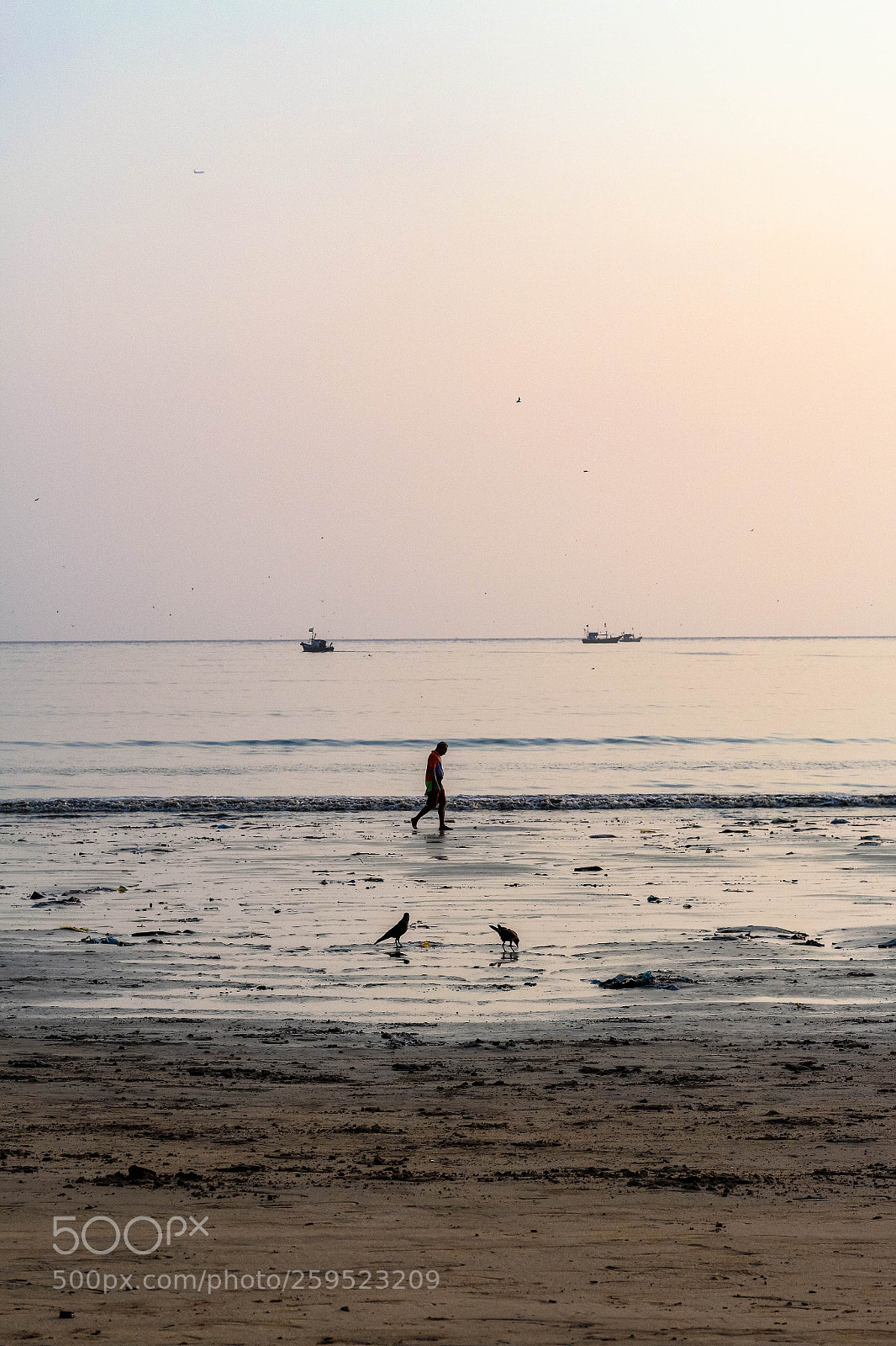 Canon EOS 70D sample photo. 2 photography