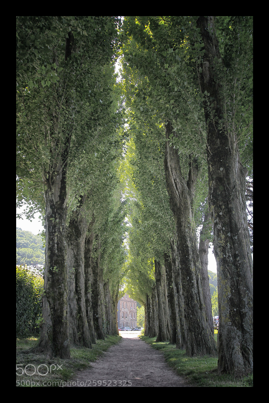 Canon EOS 7D sample photo. A way under the photography