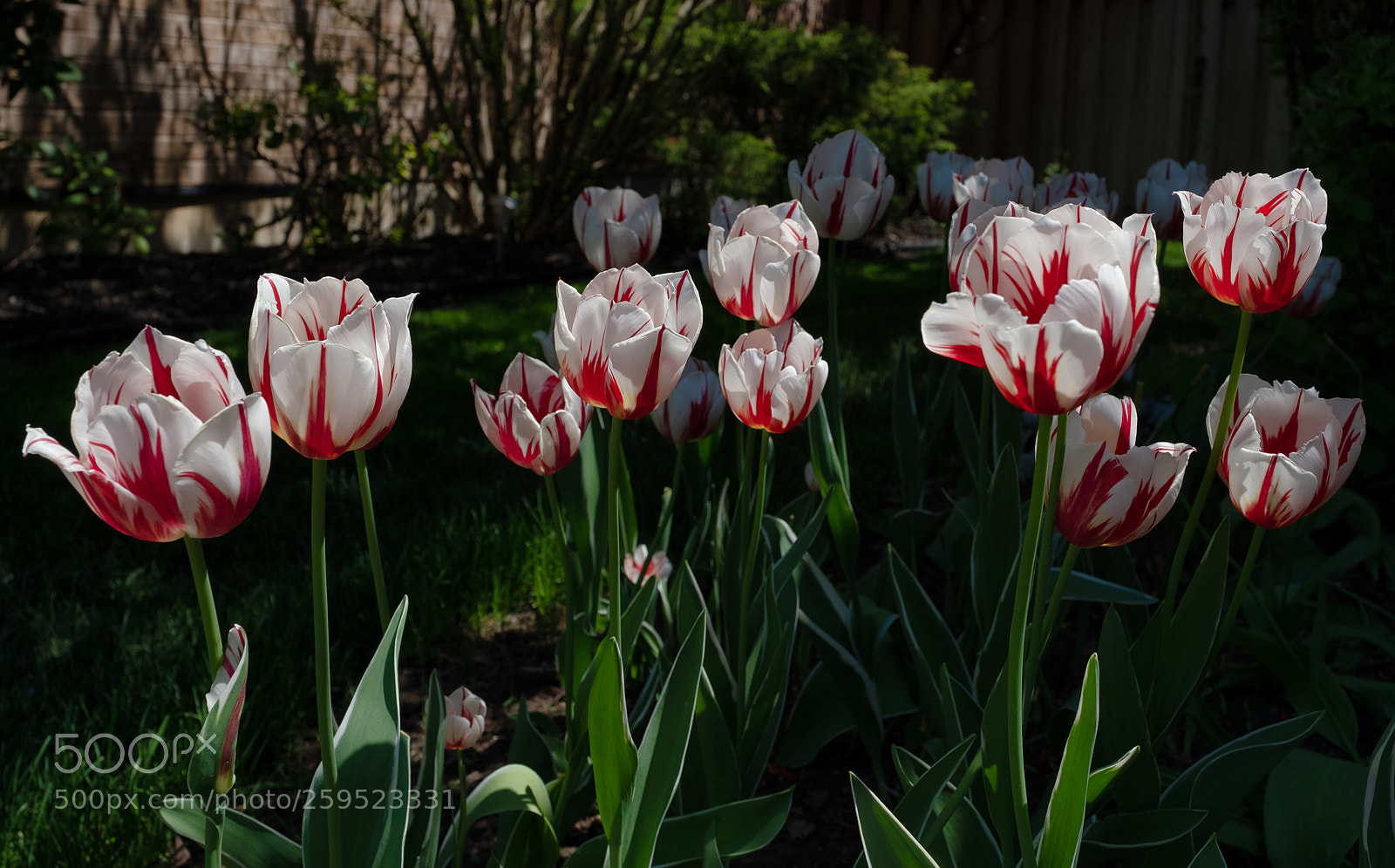 Fujifilm X-T2 sample photo. Standing together photography
