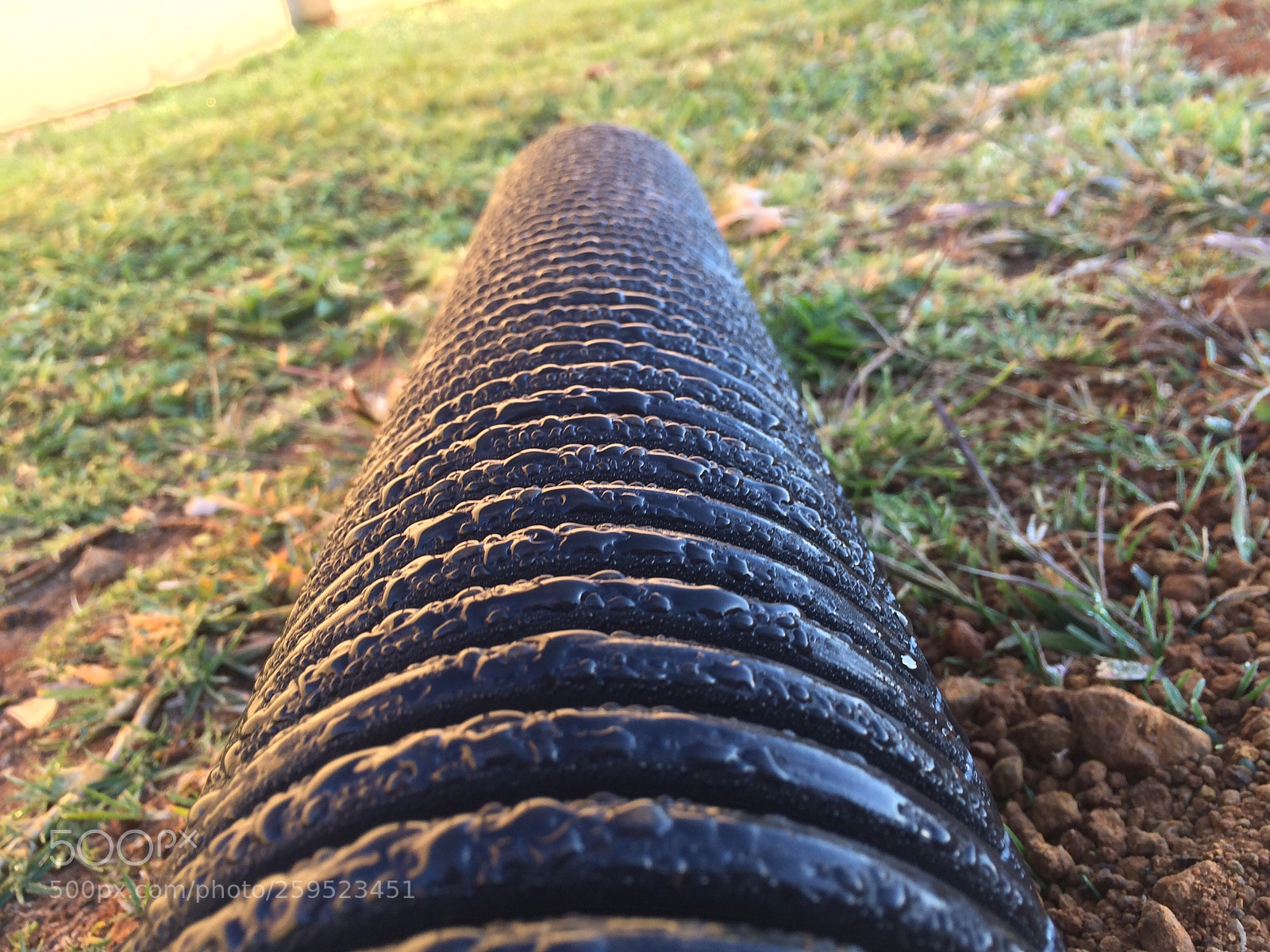 Apple iPhone 5s sample photo. Untitled photography