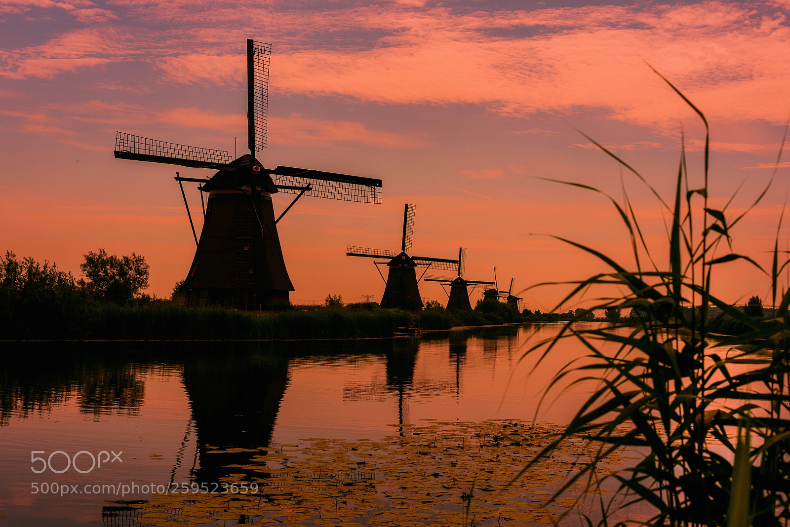 Nikon D750 sample photo. Windmill kinderdijk photography
