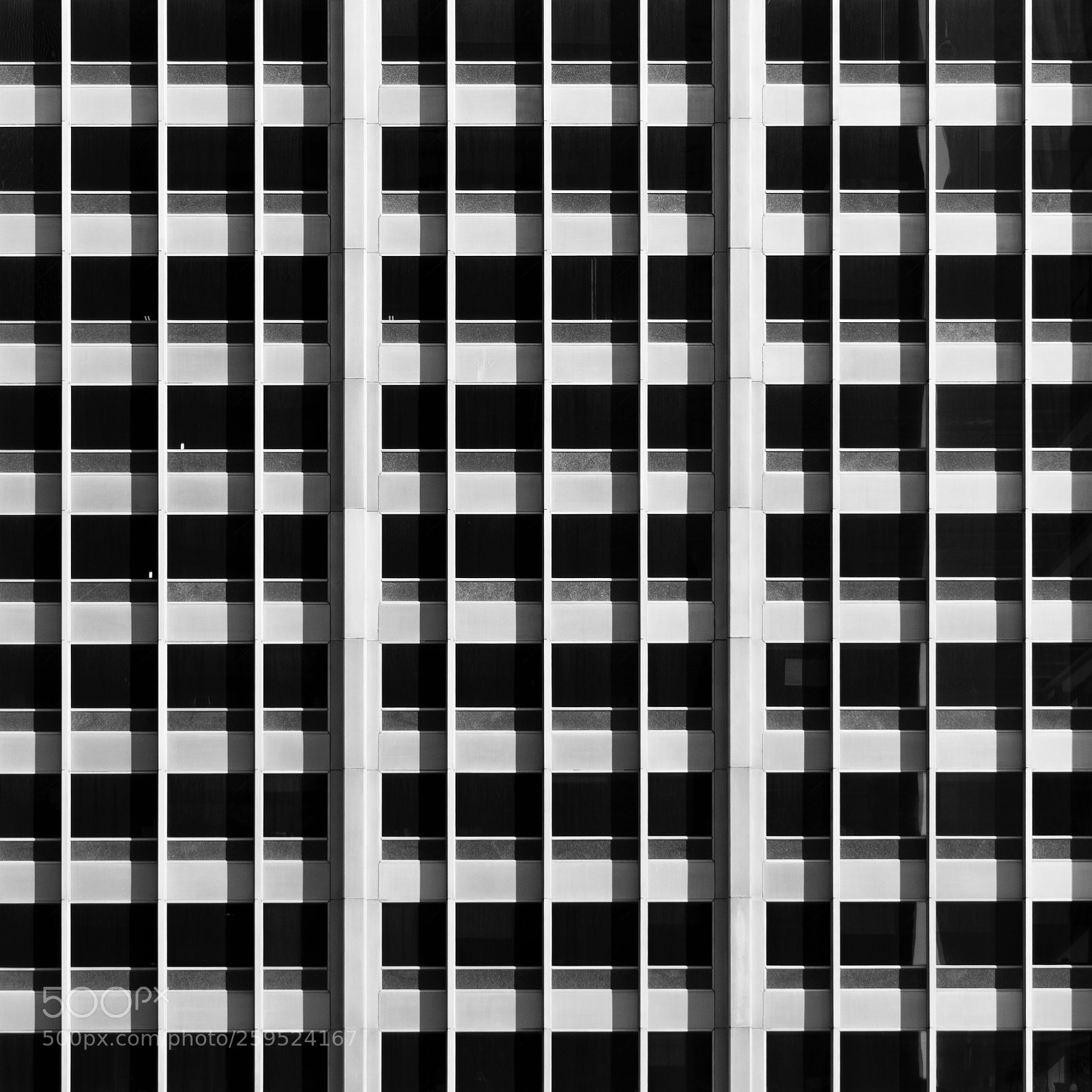 Nikon D5500 sample photo. Cidy grids 14 photography
