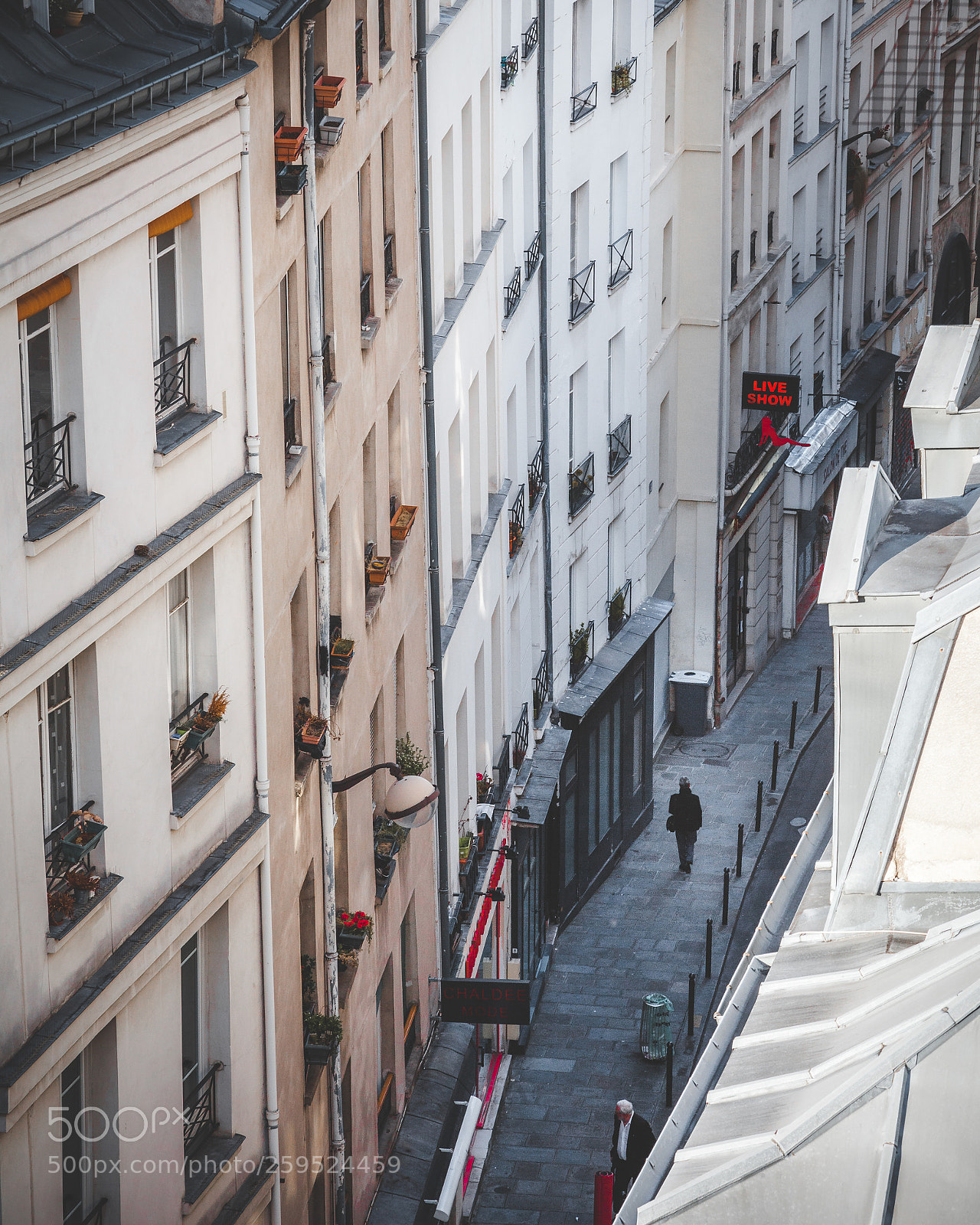 Canon EOS 5D Mark II sample photo. Le promeneur photography