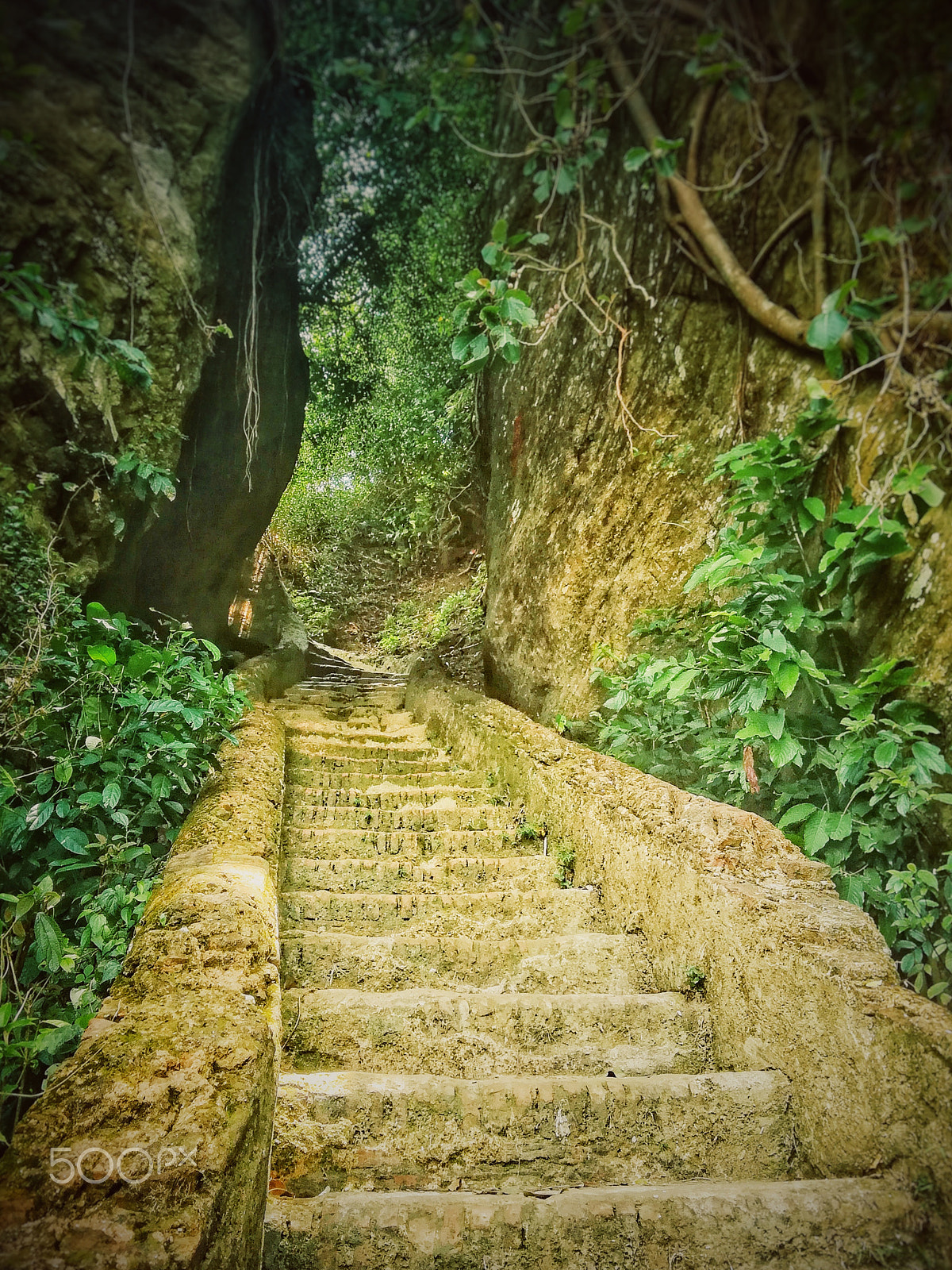 HUAWEI GT3 sample photo. Climbing the hill chandranath photography