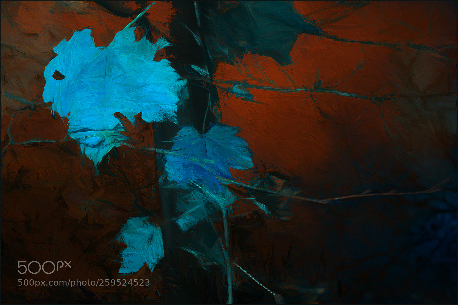Canon EOS 40D sample photo. Parthenocissus photography