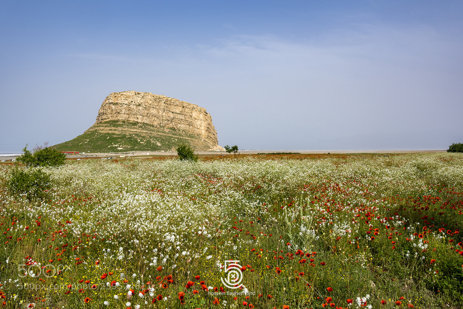 Sony a7R III sample photo. Kazem khan castle photography