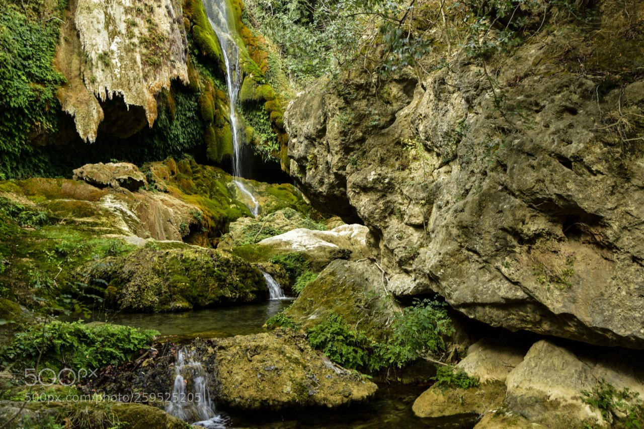 Nikon D7200 sample photo. Les escaules-1 photography