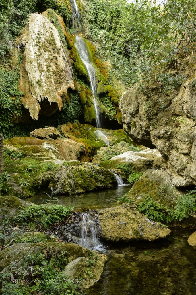 Nikon D7200 sample photo. Les escaules-2 photography