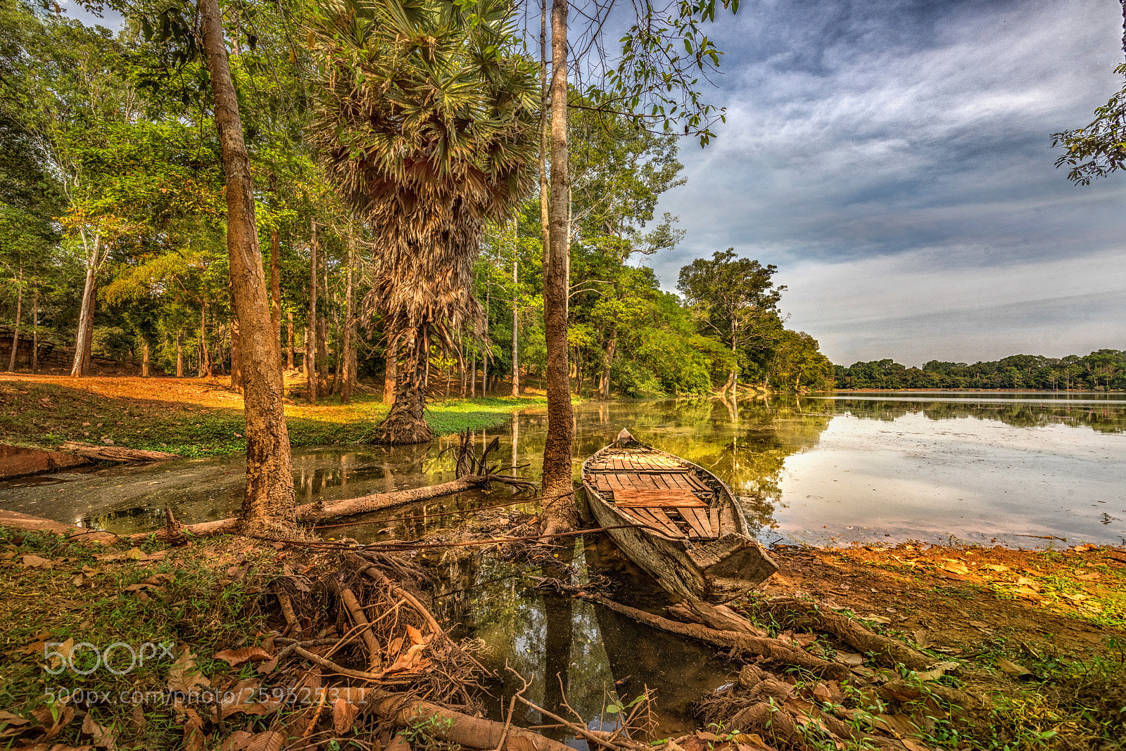Nikon D810 sample photo. Lake, siem reap cambodia photography