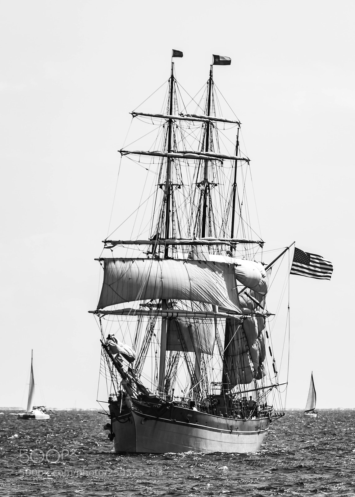 Nikon D810 sample photo. Elissa under partial sail photography