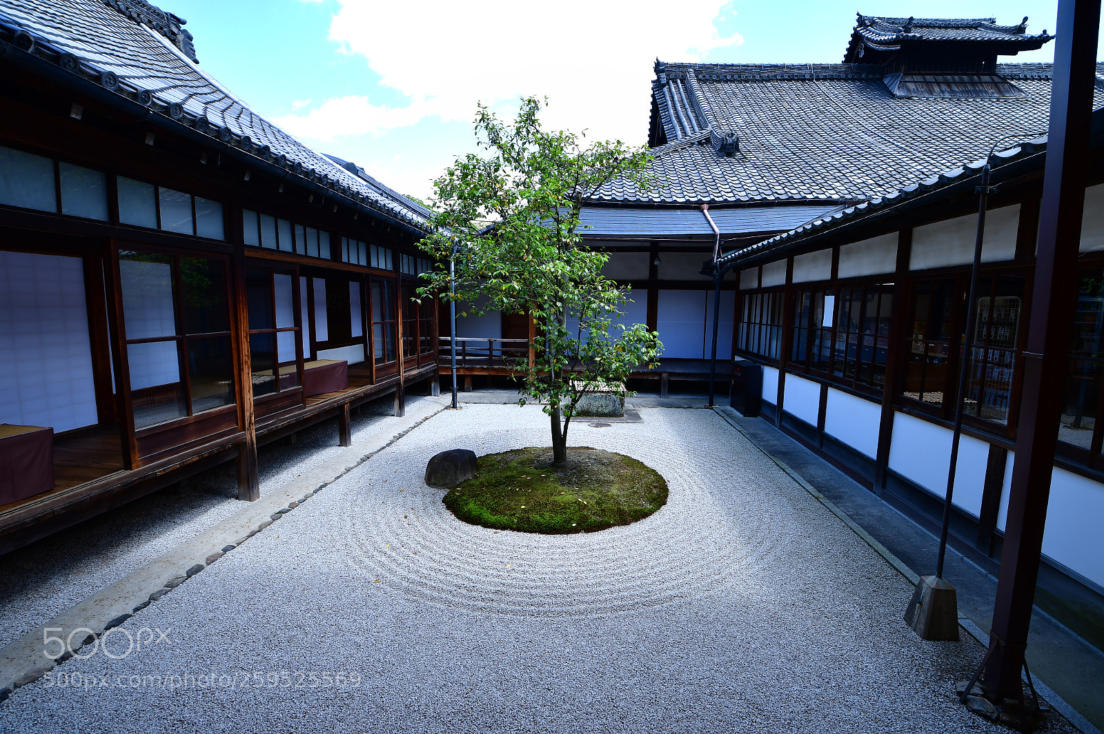 Nikon D850 sample photo. Art garden. photography