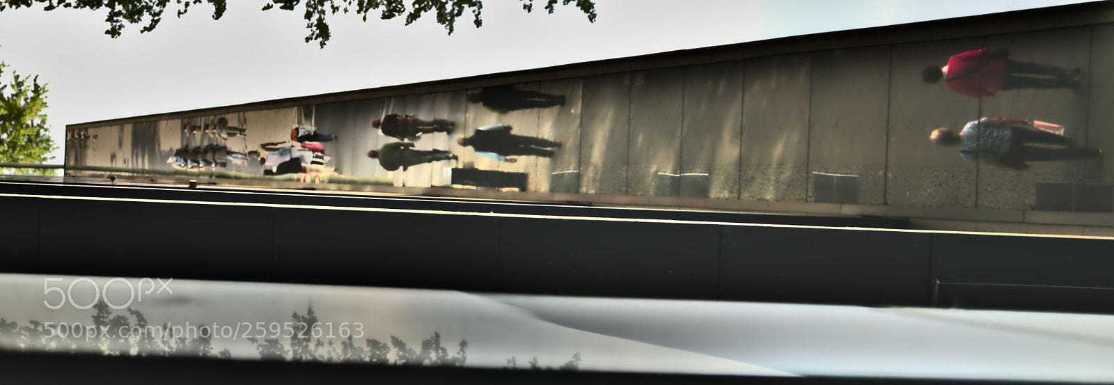 Nikon D5100 sample photo. Where to go? photography