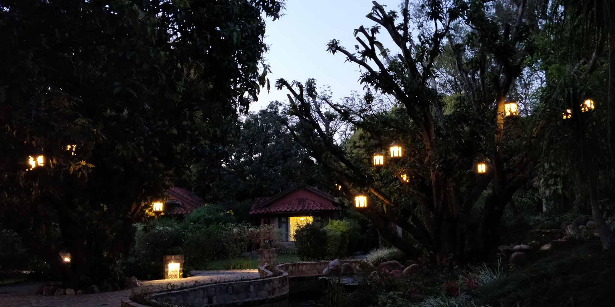 OnePlus 5T sample photo. Fairyland photography