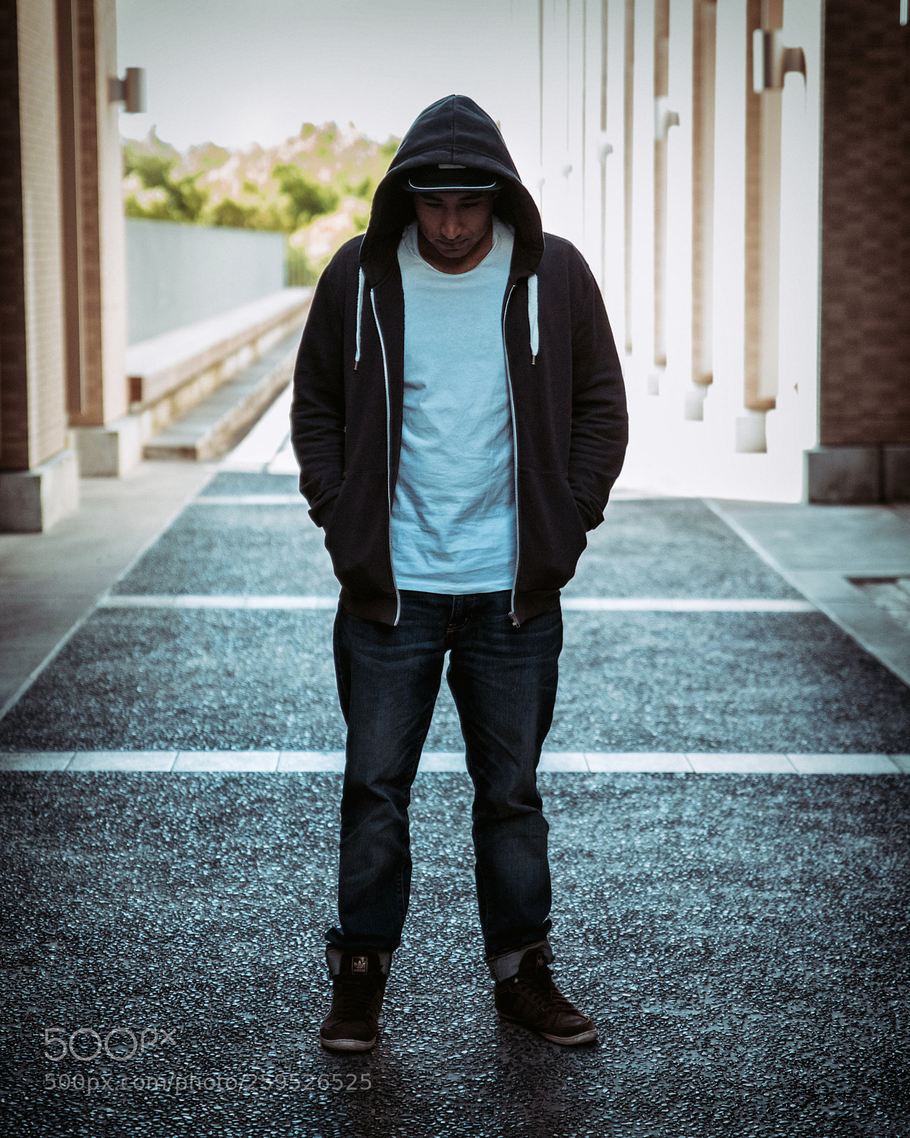 Nikon D810 sample photo. ??? photography