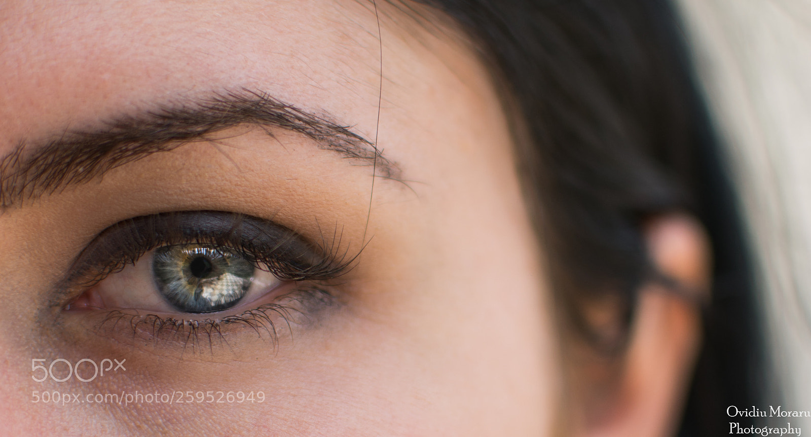 Nikon D7200 sample photo. The life photography