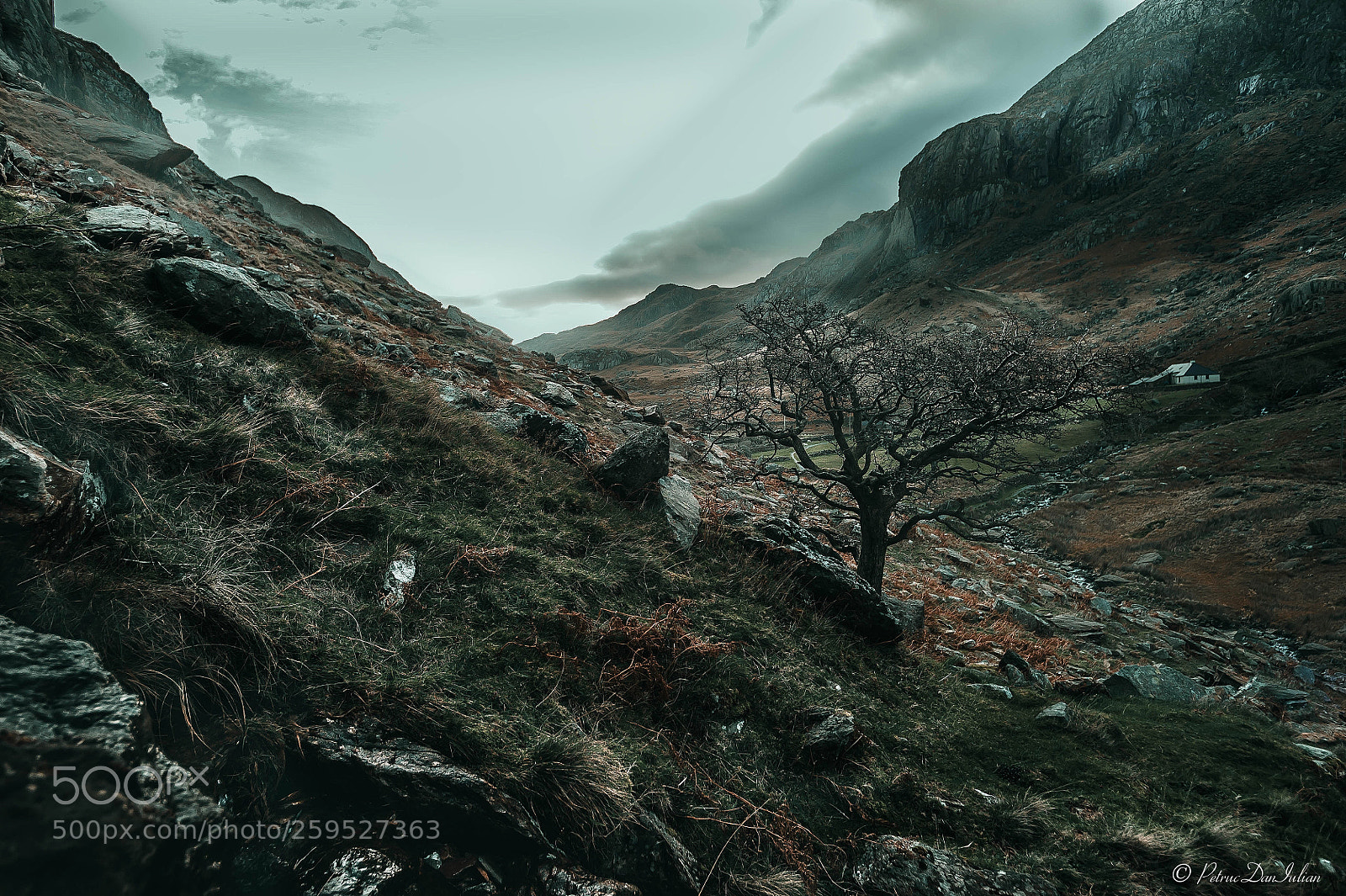 Nikon D700 sample photo. Snowdon photography