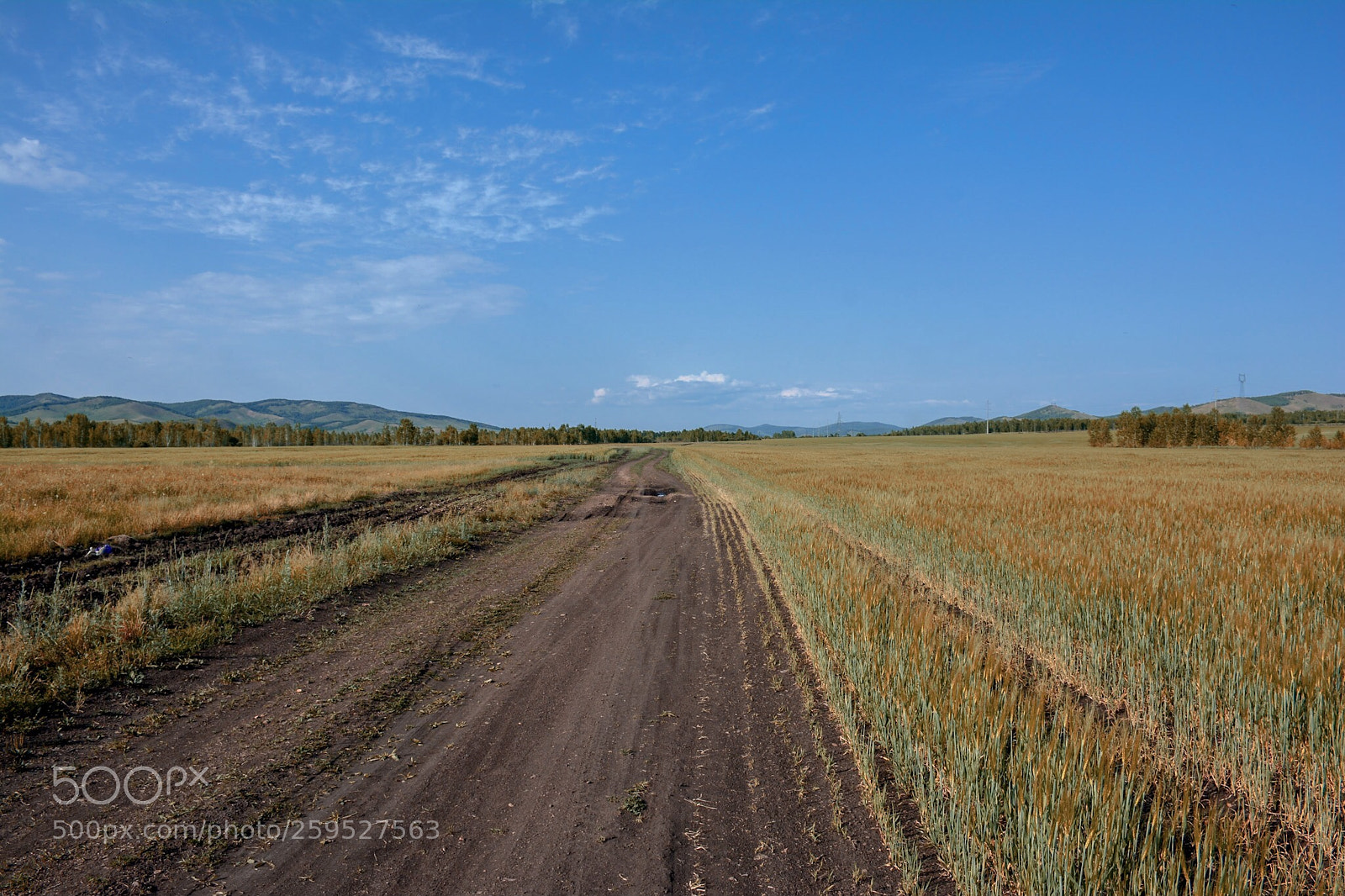 Nikon D7100 sample photo. Untitled photography