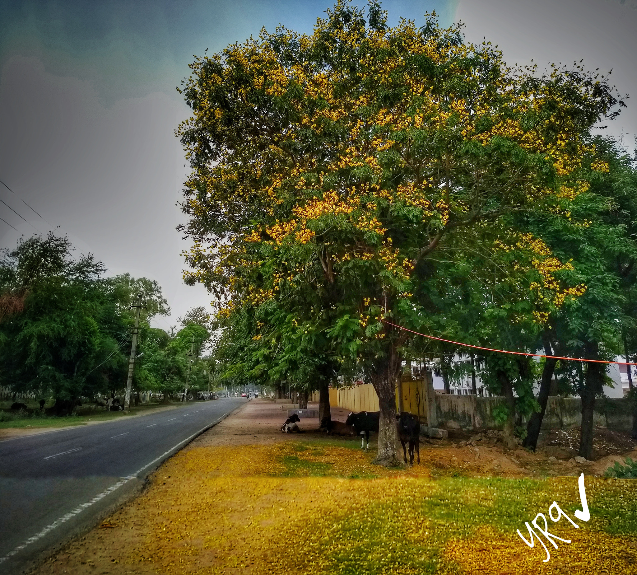 Motorola Moto G (5) Plus sample photo. Summer roads photography