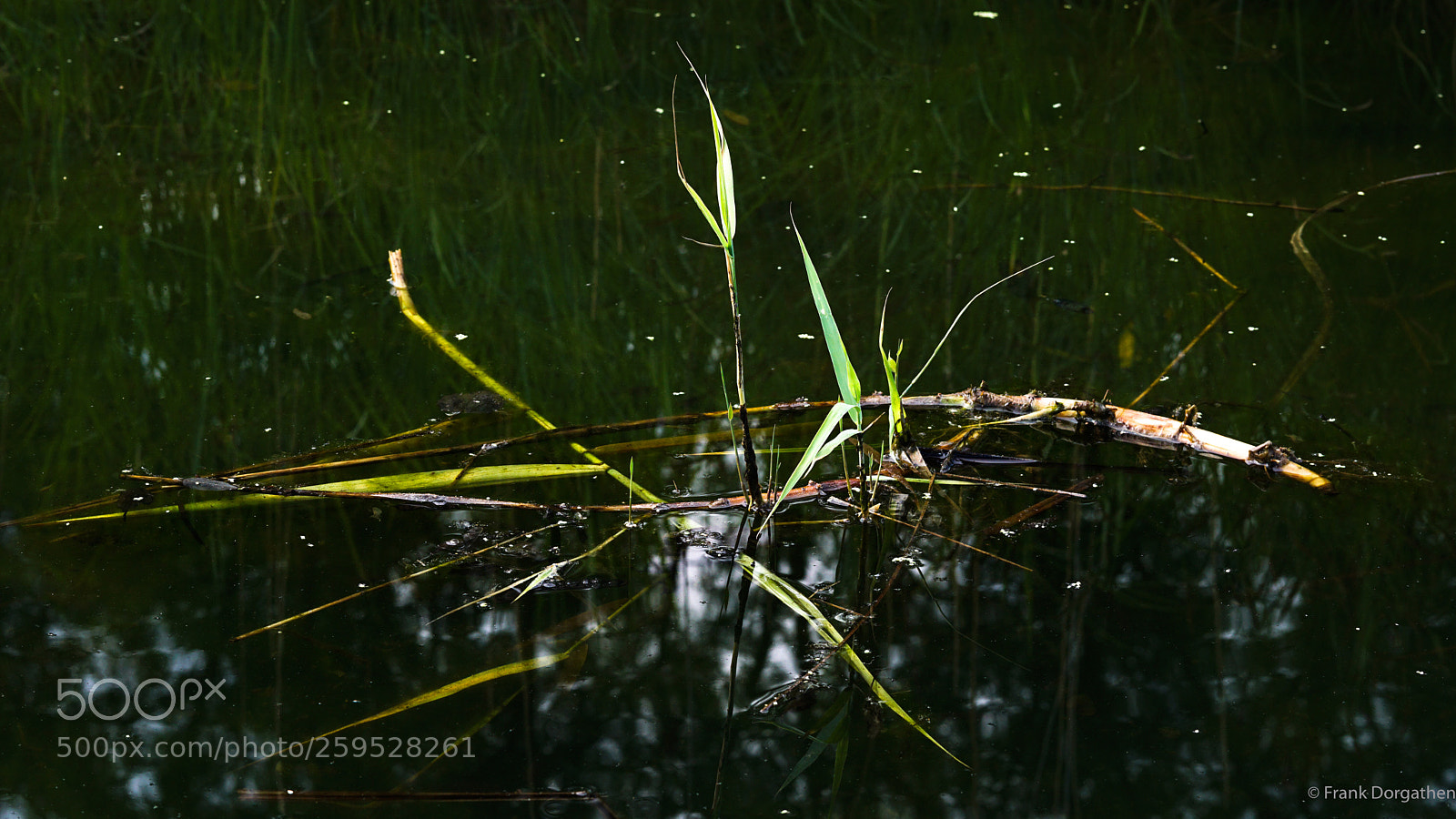 Sony a6000 sample photo. On the water photography