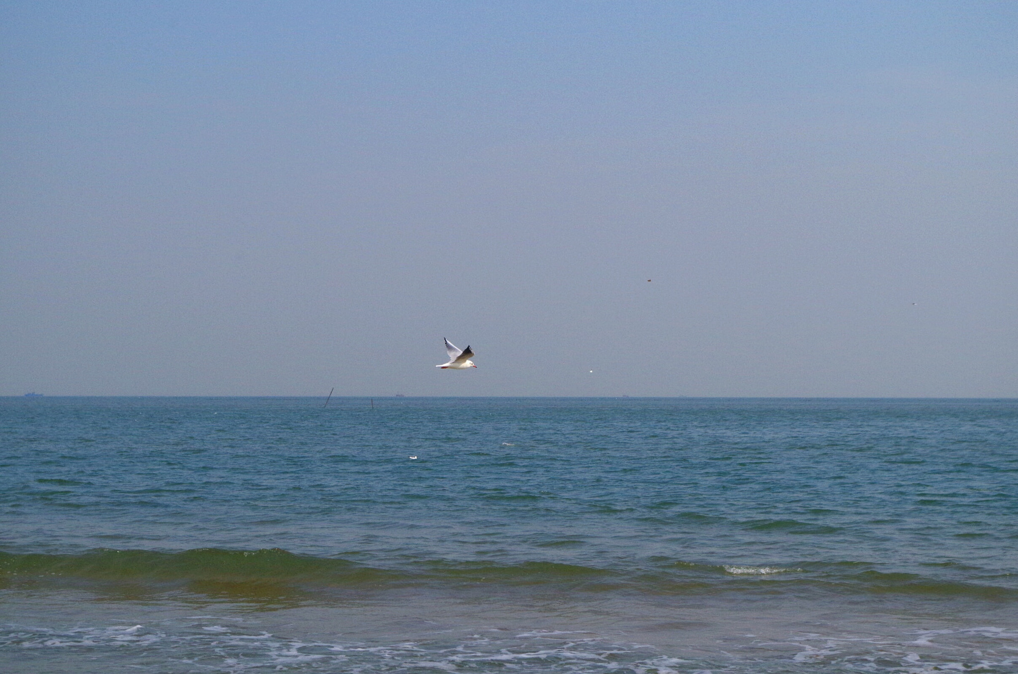 Pentax K-50 sample photo