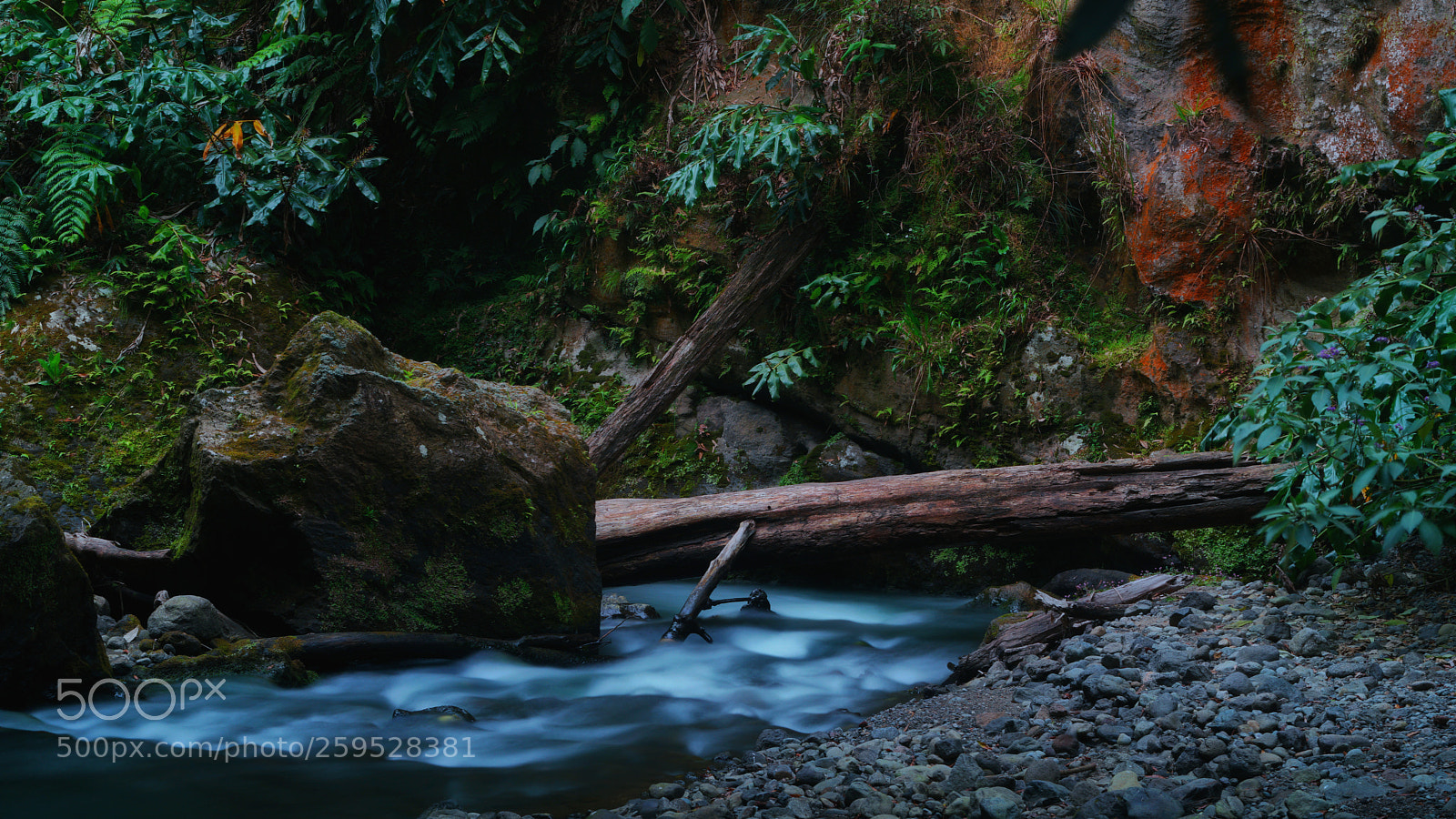 Sony a7R II sample photo. Hidden treasure photography