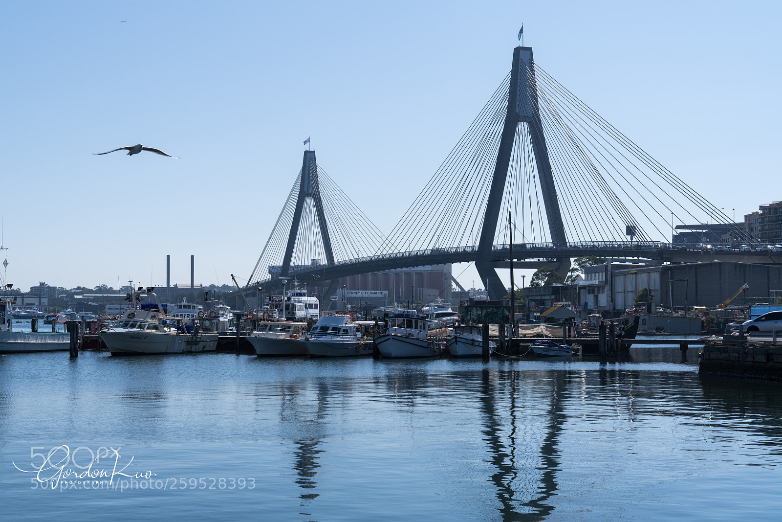 Sony a7R II sample photo. Fly away photography