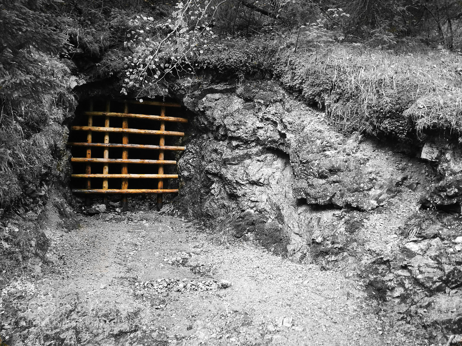 HUAWEI P9 sample photo. A closed cave photography