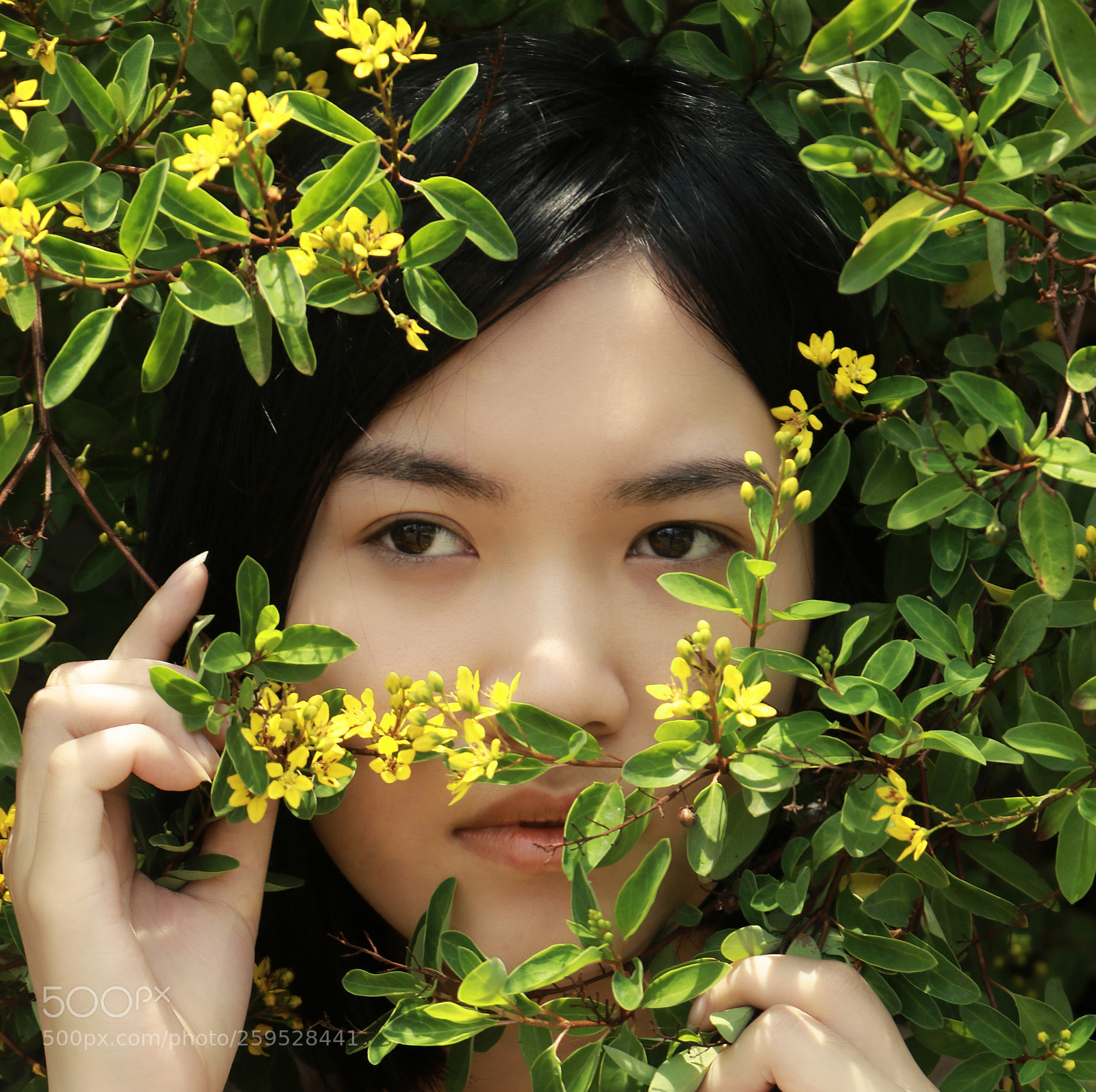 Canon EOS 750D (EOS Rebel T6i / EOS Kiss X8i) sample photo. () photography