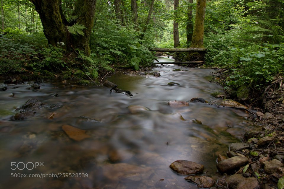 Canon EOS 80D sample photo. River brusnianka photography