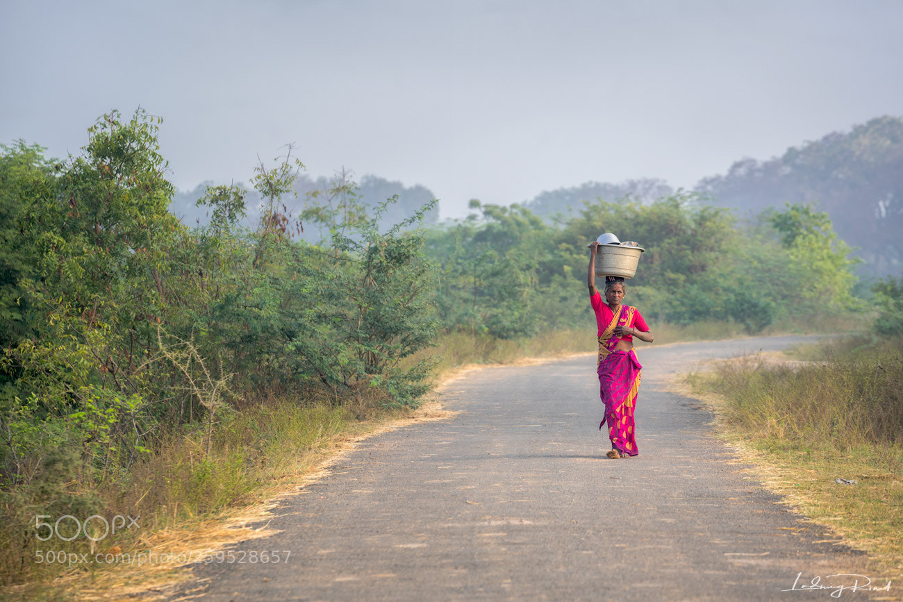 Sony a7R II sample photo. Colors of india photography
