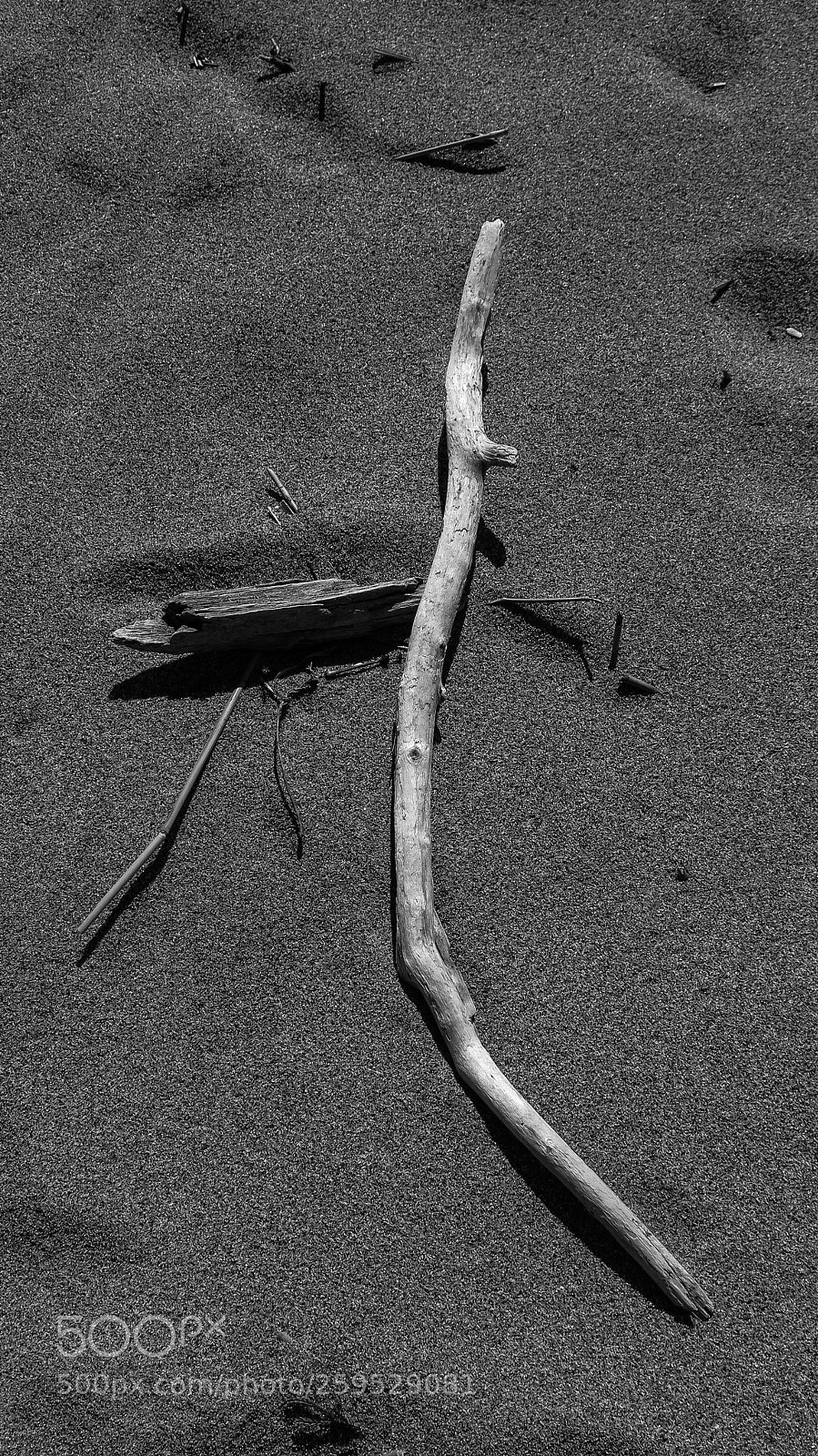 Canon PowerShot G16 sample photo. Driftwood b&w photography