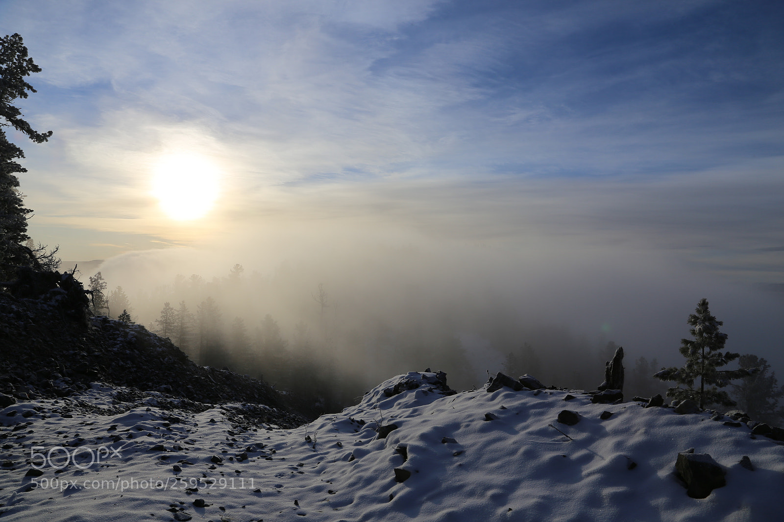 Canon EOS 6D + Canon EF 24-105mm F4L IS USM sample photo. Foggy morning in may photography