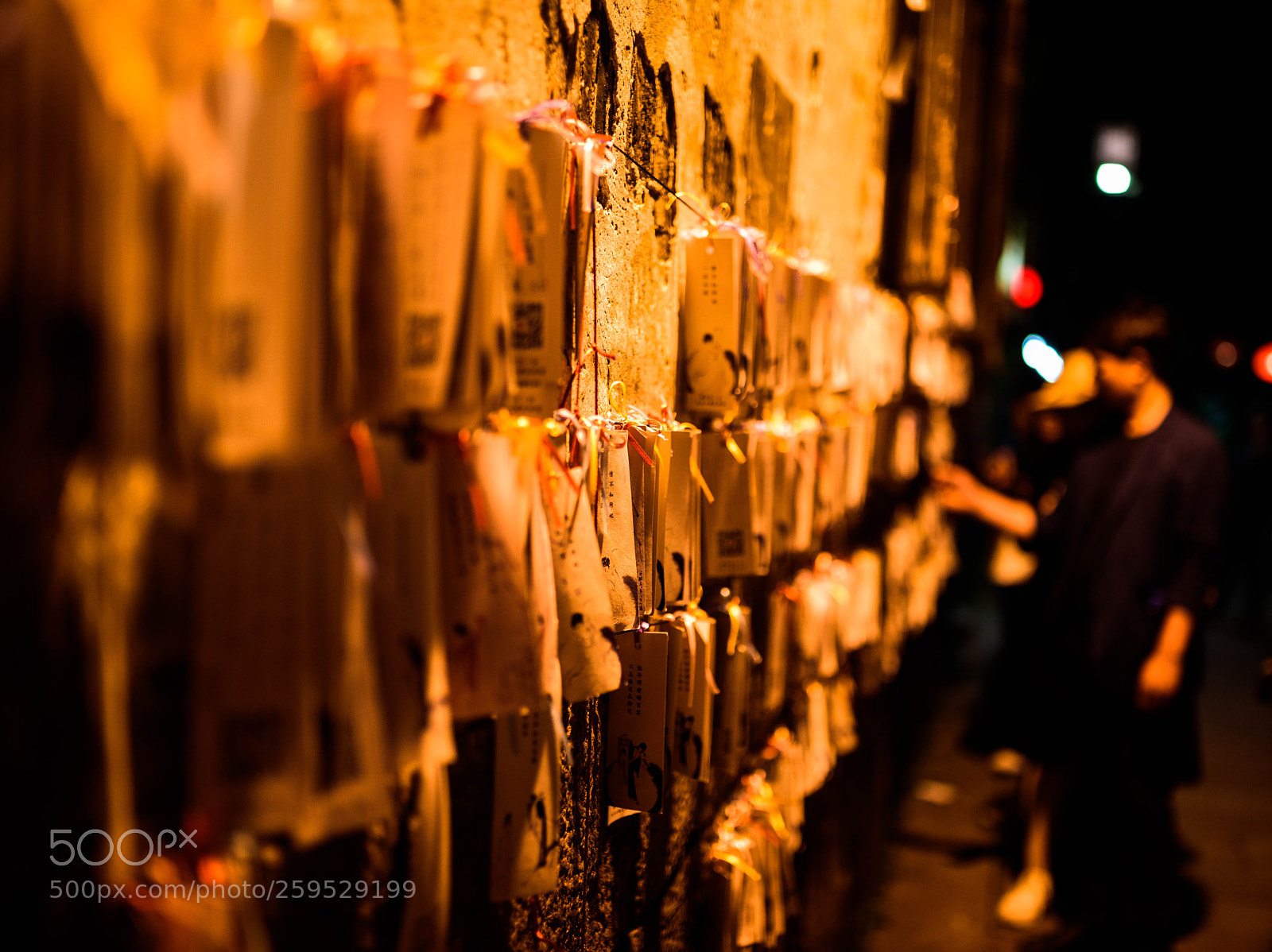 Nikon D810 sample photo. Untitled photography
