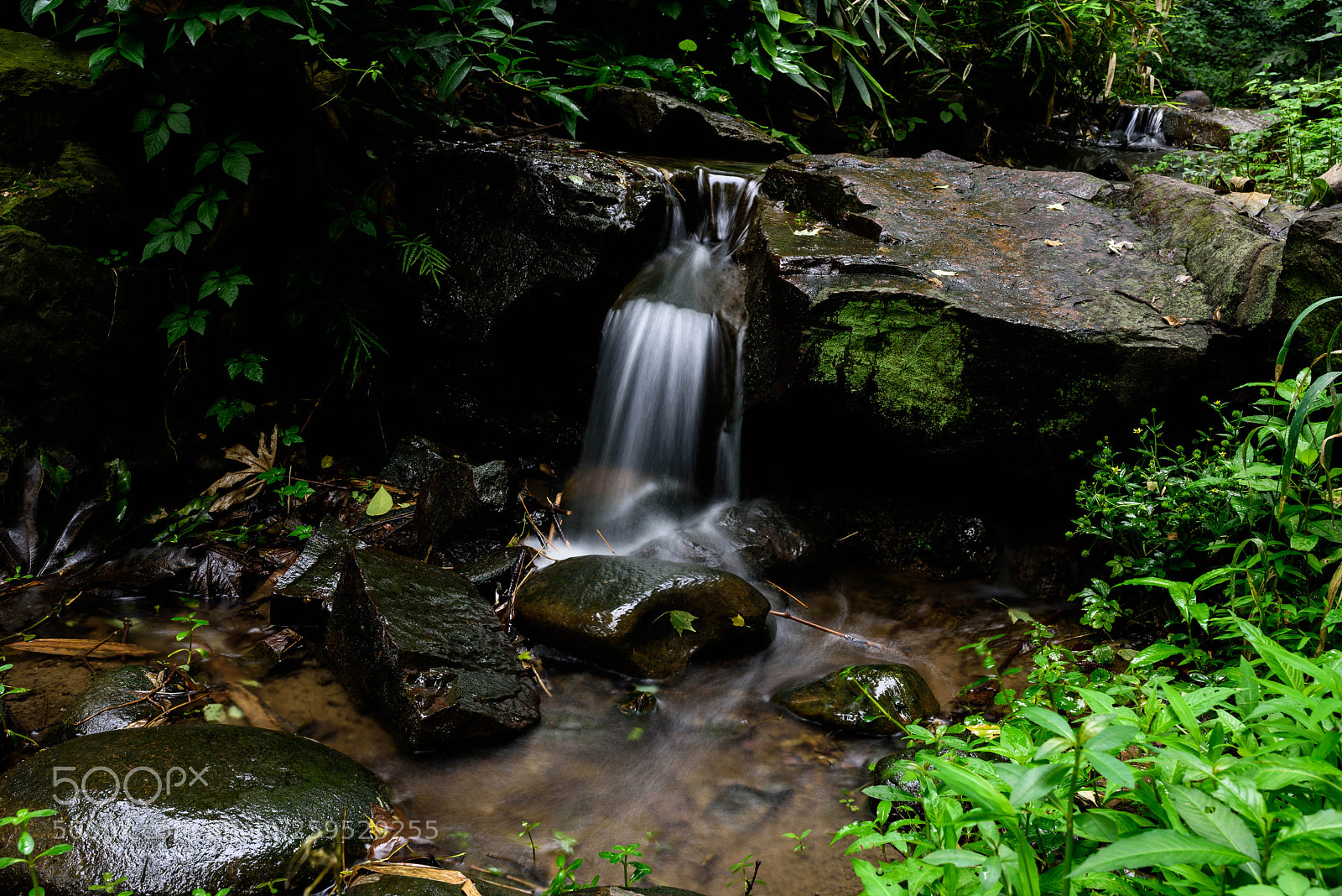 Nikon D810 sample photo. Untitled photography