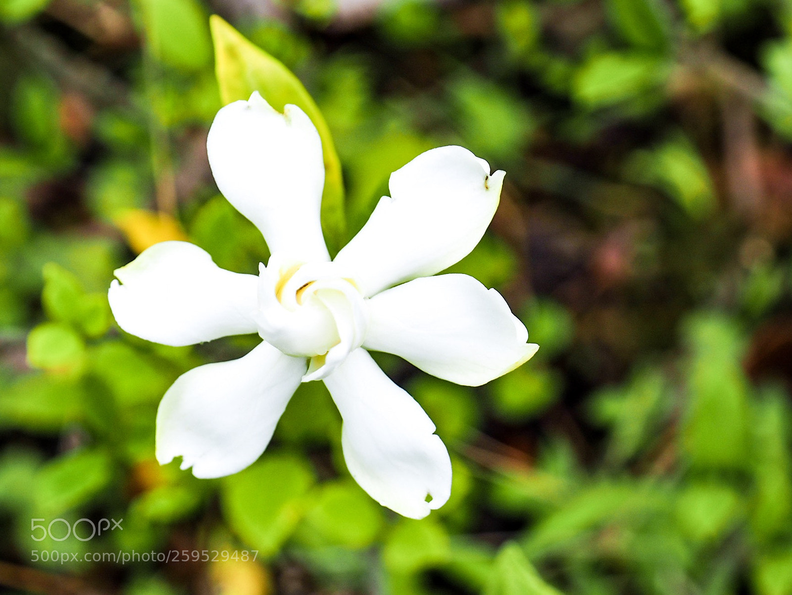 Olympus OM-D E-M5 II sample photo. Untitled photography