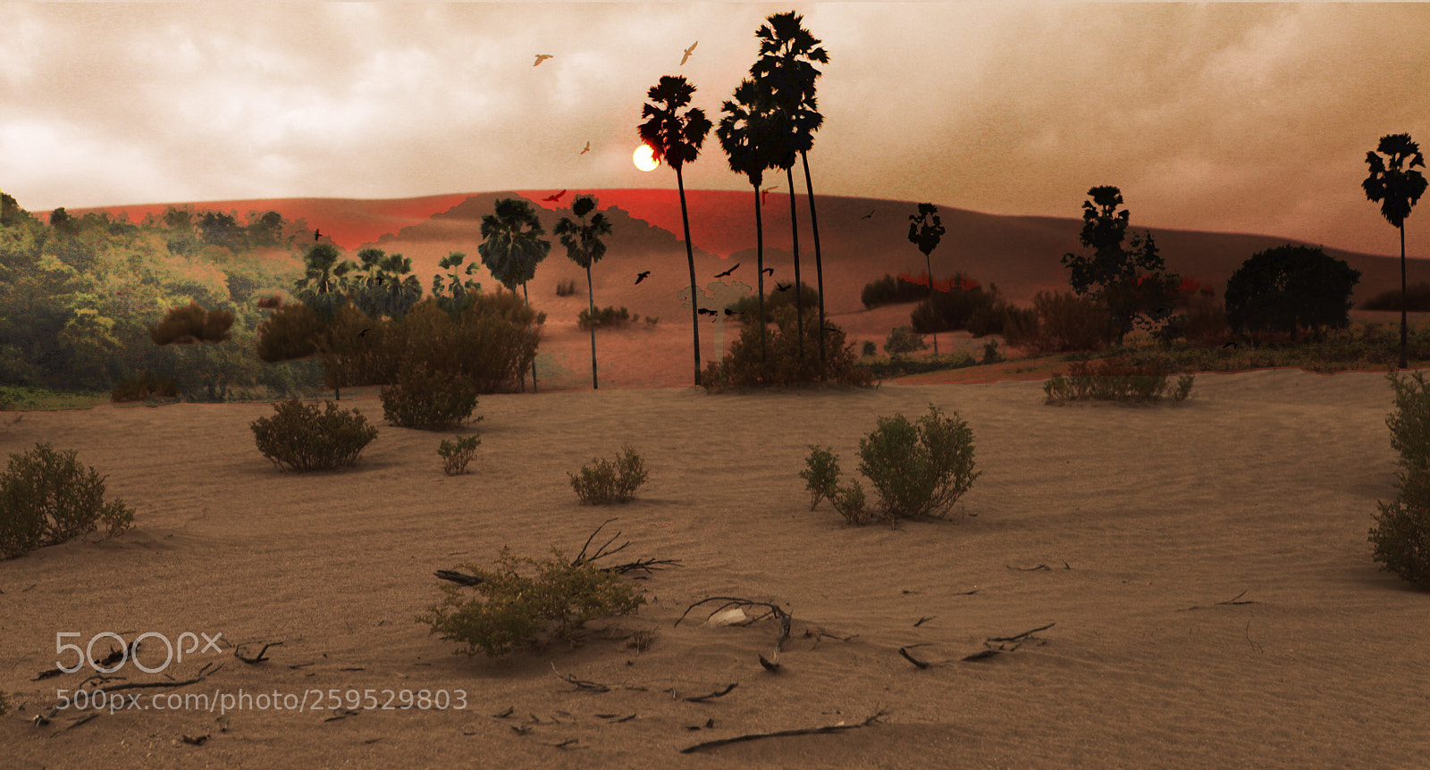 Canon EOS 5D Mark II sample photo. Desert oasis (created) photography