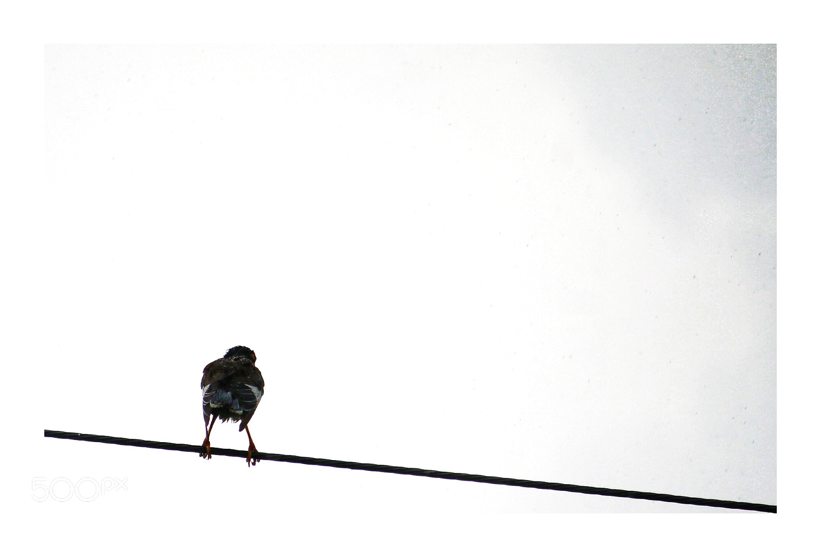 Canon EOS 70D sample photo. Untitled photography