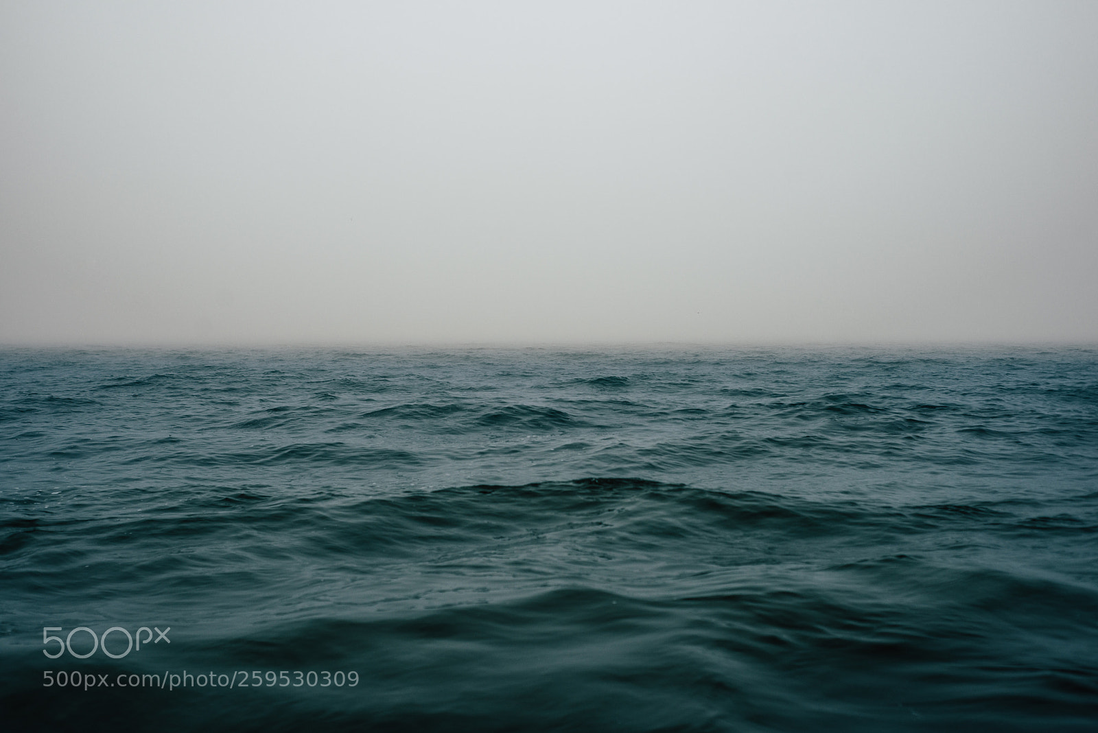 Nikon D800 sample photo. North sea fog photography