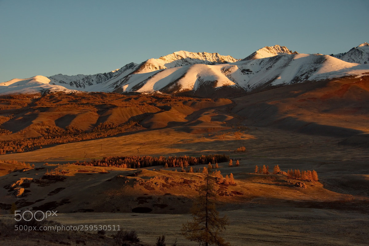 Nikon D750 sample photo. Russia. sunset in the photography