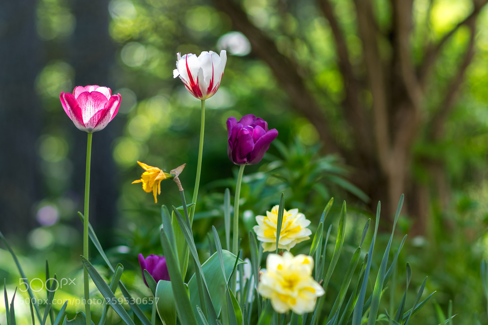 Nikon D7100 sample photo. It's almost summer photography