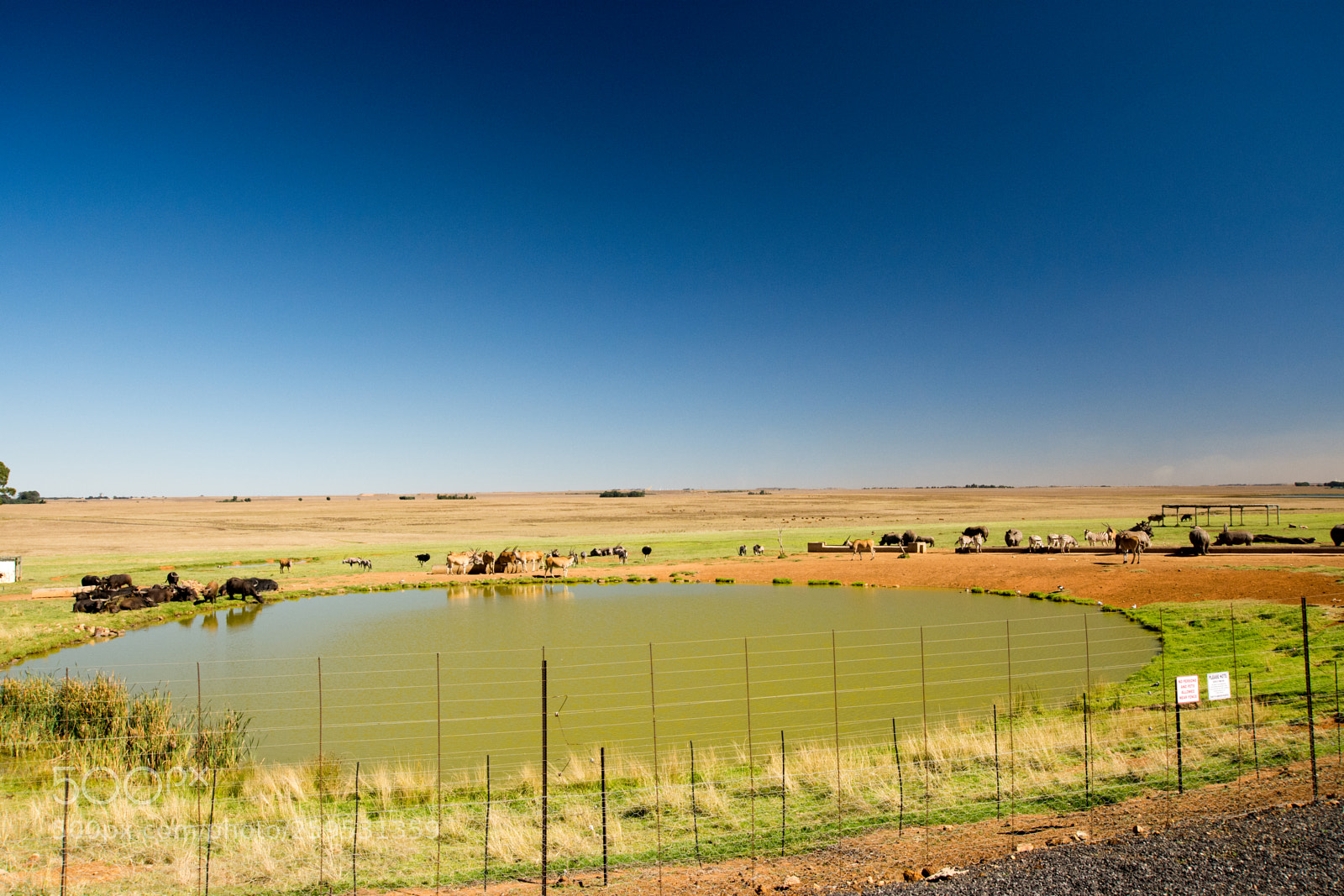 Nikon D7200 sample photo. The beautiful view at photography