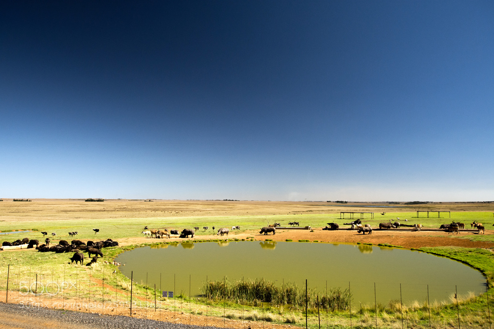 Nikon D7200 sample photo. The beautiful view at photography