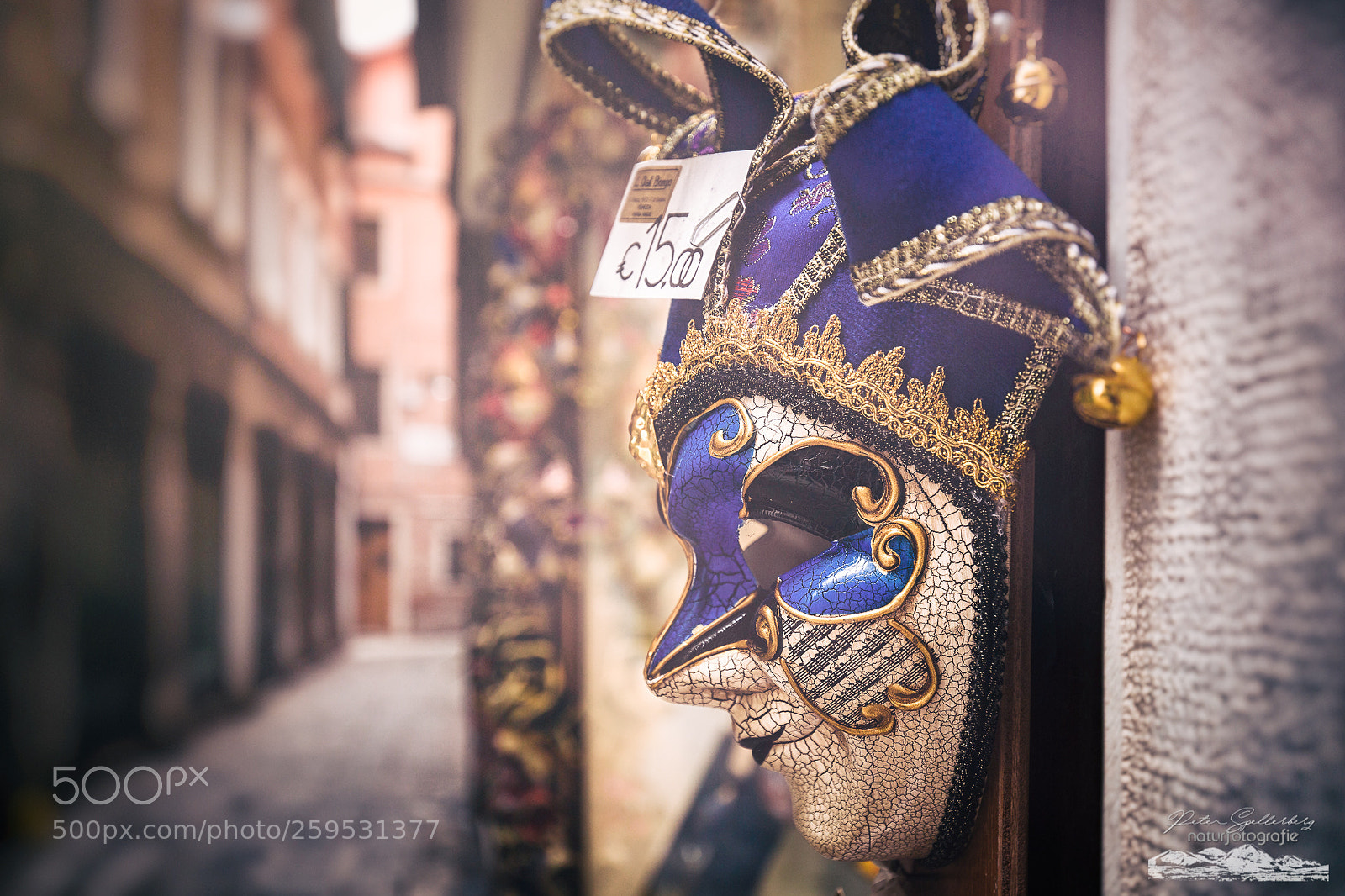 Canon EOS 5D Mark IV sample photo. ~venezia~ photography