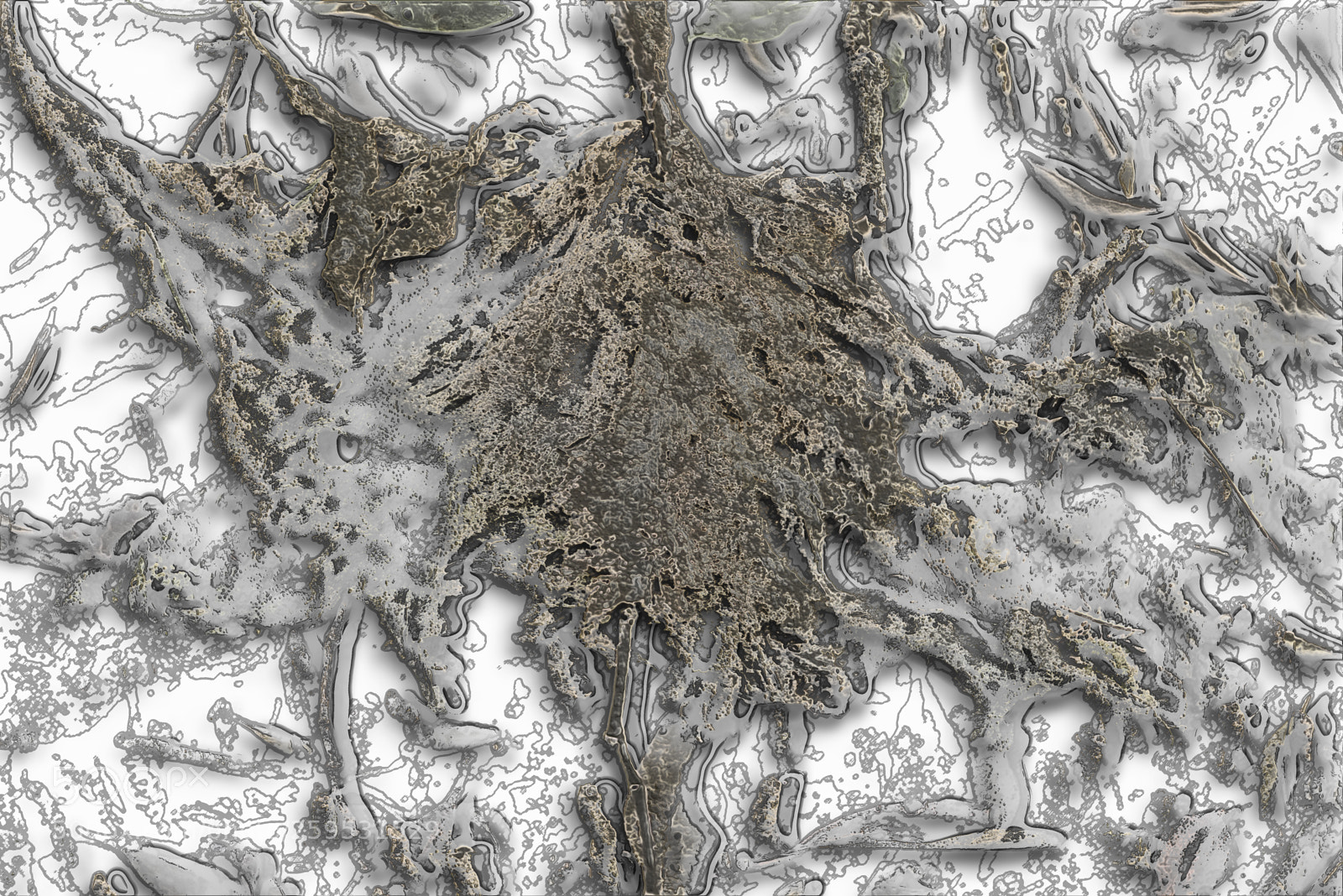 Nikon D600 sample photo. Dried moss abstract photography