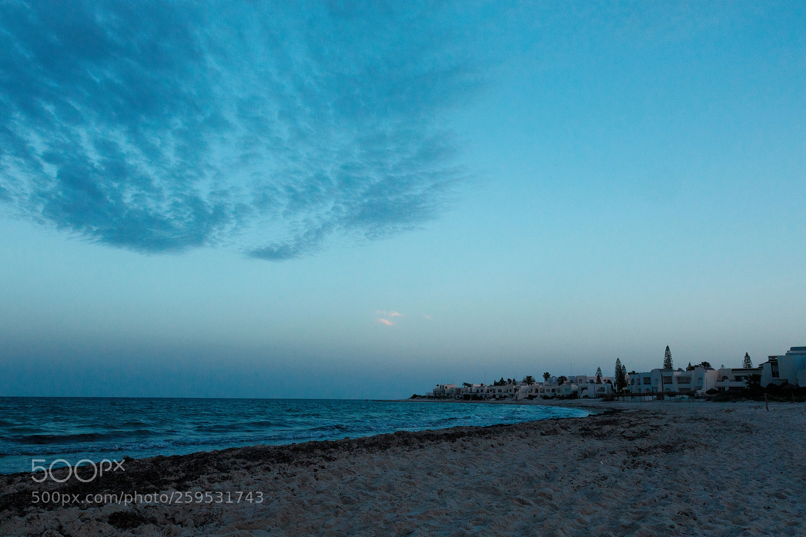 Canon EOS 7D Mark II sample photo. Blue dawn photography
